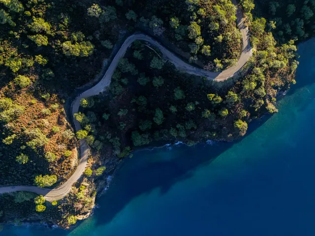 Ormanlık kıyıda kıvrılan yol, havadan