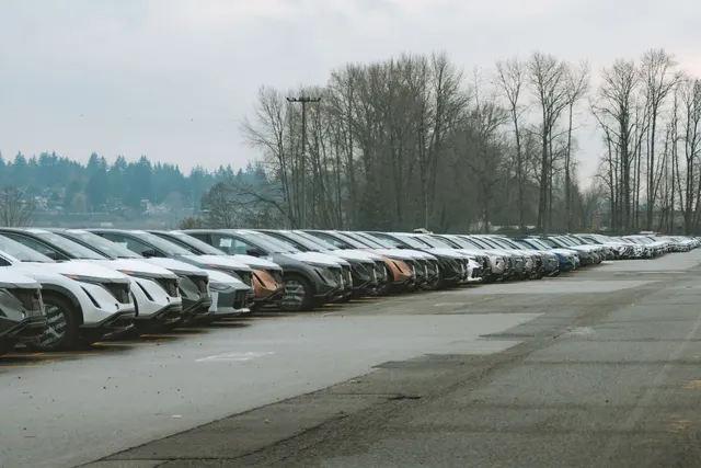 Otoparkta uzun sıra halinde yeni araçlar